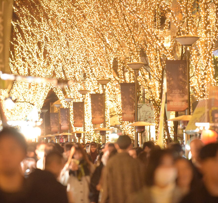 ギャラリー画像1