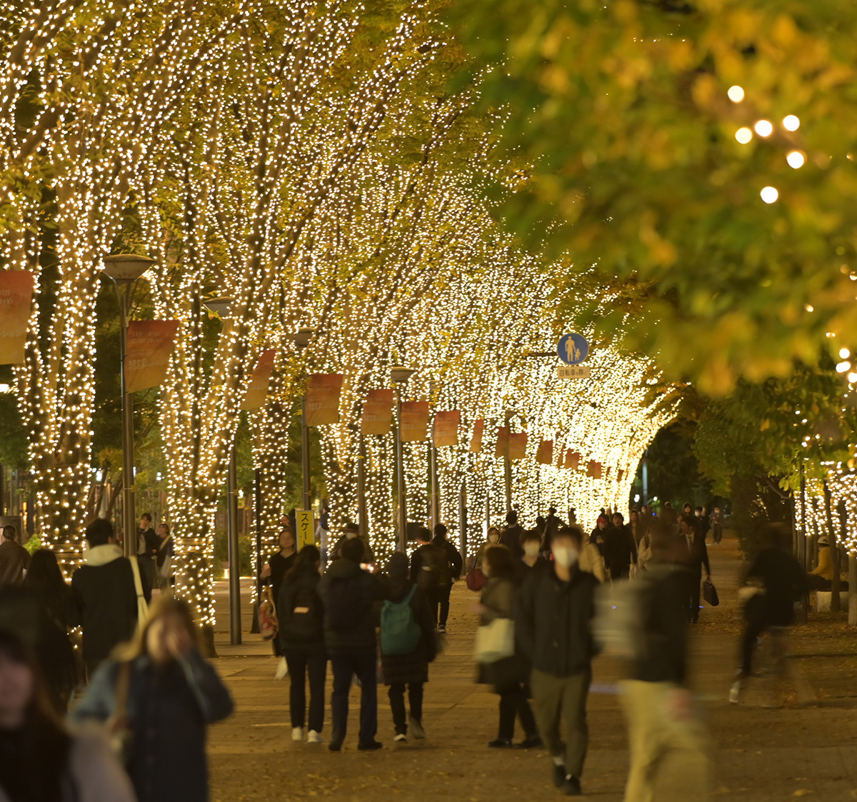 ギャラリー画像2