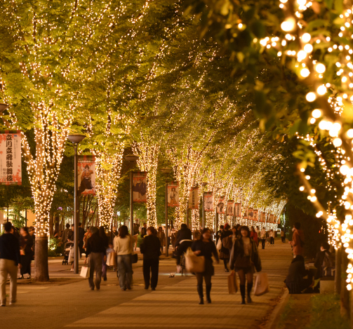 ギャラリー画像1