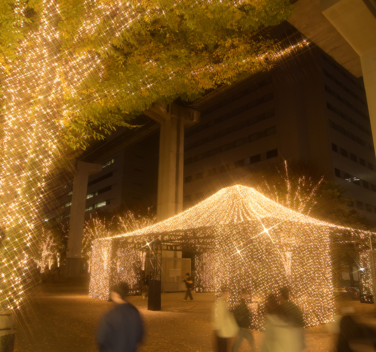 ギャラリー画像1