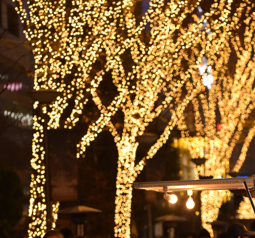 ギャラリー画像2