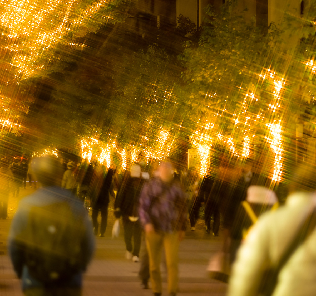 ギャラリー画像2