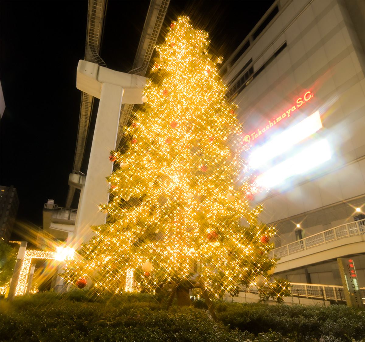 ギャラリー画像1