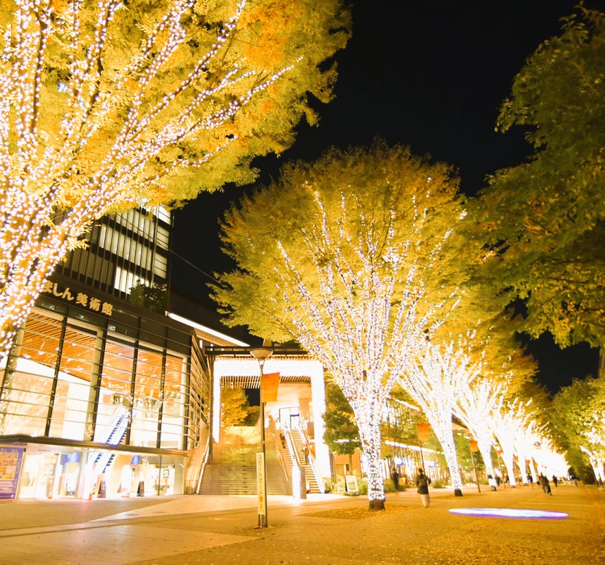 ギャラリー画像2