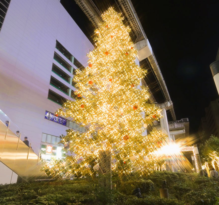 ギャラリー画像3