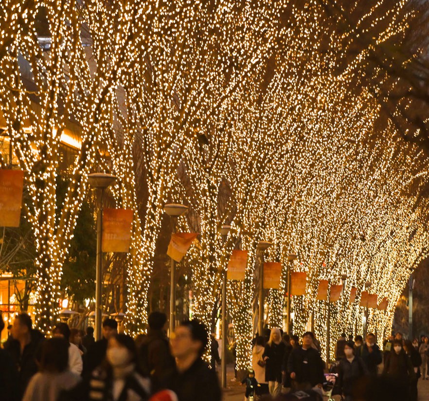 ギャラリー画像2